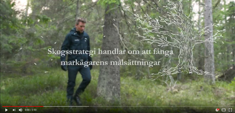 Film om Skogssällskapets skogsstrategi med analytiker Martin Sjödin.