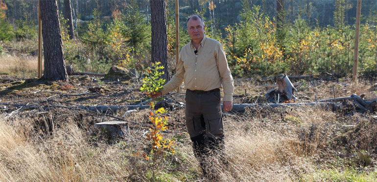 Johan Sonesson, projektansvarig forskare, med en ekplanta på en av försöksytorna.